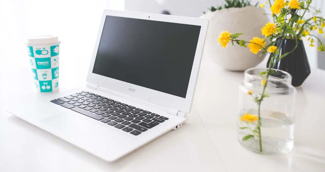 Ремонт ноутбуков Acer в Саратове