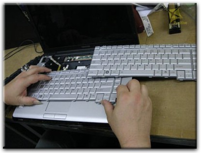 Ремонт клавиатуры на ноутбуке Toshiba в Саратове